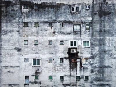 Canine Kingdom Dog Spa